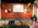Filename=Museo-Latino-01.jpg
Filesize=228KiB
Dimensions=1224x918
Date added=Oct 28, 2007 Museo-Latino-01.jpg